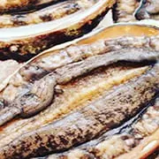 当店の料理写真04