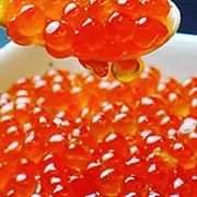 当店の料理写真11